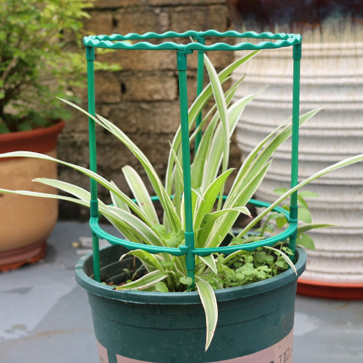 Plastic%20Plant%20Support%20Pile%20Half%20Round%20Climbing%20Vines%20Stake%20Bonsai%20Fixing%20Rod%20Garden%20Plant%20Stake%20Holder%20Flower%20Ring%20Support%20Rack%20-%20Image%205