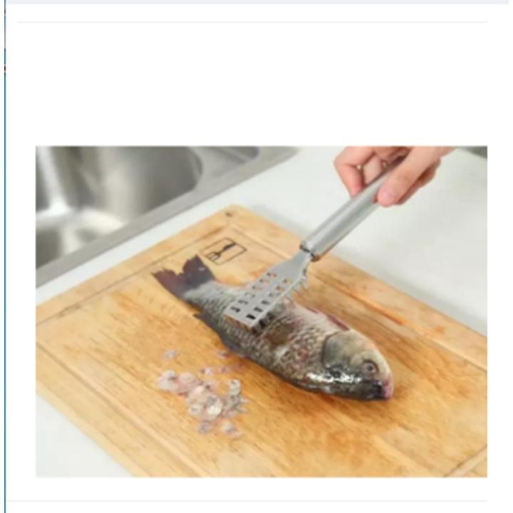 Stainless Steel Fish Scale Cleaner / Remover / Scraper