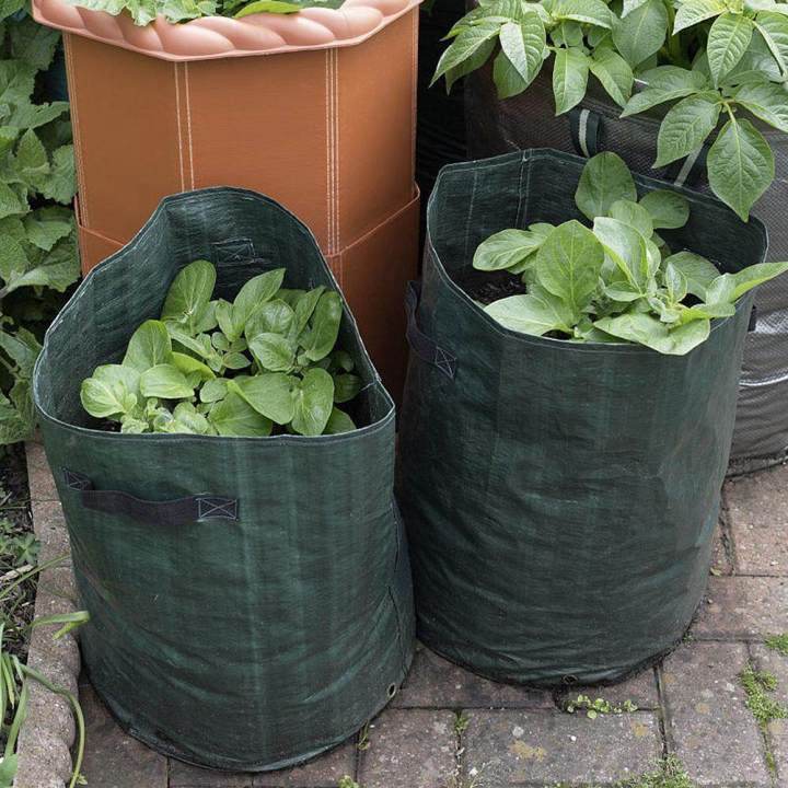 DIY%20Potato%20Grow%20Planter%20PE%20Cloth%20Planting%20Container%20Bag%20Vegetable%20Grow%20Bag%20-%20Image%203