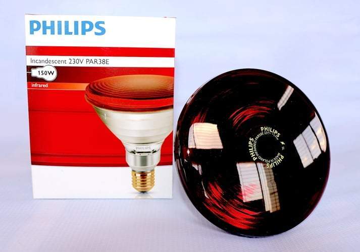 Philips%20Infrared%20Heating%20Lamp%20BULB-150W%20-%20Image%203