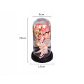 Plastics Everlasting Rose Unique Led Glass Dome Bouquet Romantic Illuminated Ornament for Birthday. 