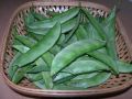 Fresh hybrid seeds flat beans (sim) 25 pice..