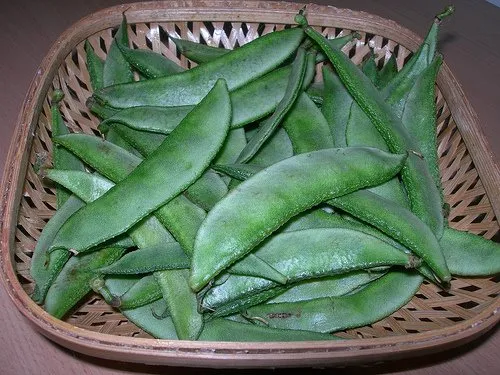 Fresh%20hybrid%20seeds%20flat%20beans%20(sim)%2025%20pice.%20-%20Image%205