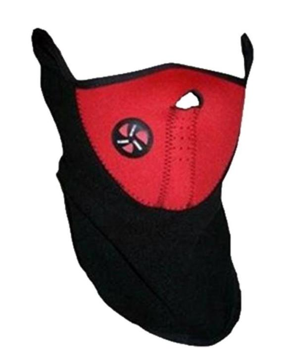 Winter face Mask