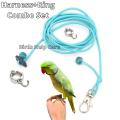 Ringneck Parrot China Ring & Harness 7mm Ring Combo. 