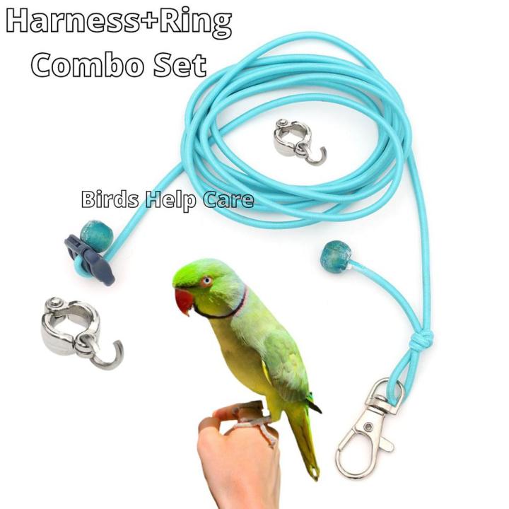 Ringneck Parrot China Ring & Harness 7mm Ring Combo
