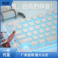 Silent keyboard mechanical sense wired desktop computer notebook girls wireless office typing mouse set. 