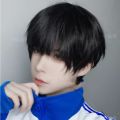 Wig Male Short Straight Hair Wolf Tail Wig Unisex Short Hair Hanging Ears Dyed Gradient Gray Mullet Head Cosplay Wig. 