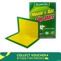 Mouse Rat Bond Traps Green Killer China (3 Pcs).