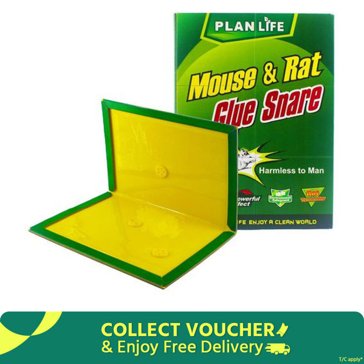 Mouse Rat Bond Traps Green Killer China (3 Pcs)