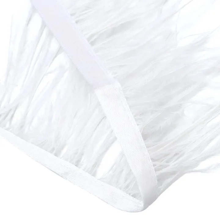 %E3%80%90Customer%20favorite%E3%80%91%202.2%20Yards%20Satin%20Ribbon%203-4inch%20Ostrich%20Feathers%20Satin%20Ribbon%20White%20Ostrich%20Feathers%20Trim%20Satin%20Ribbon%20White%20Fringe%20Satin%20Ribbon%20Craft%20Feather%20Boas%20-%20Image%209