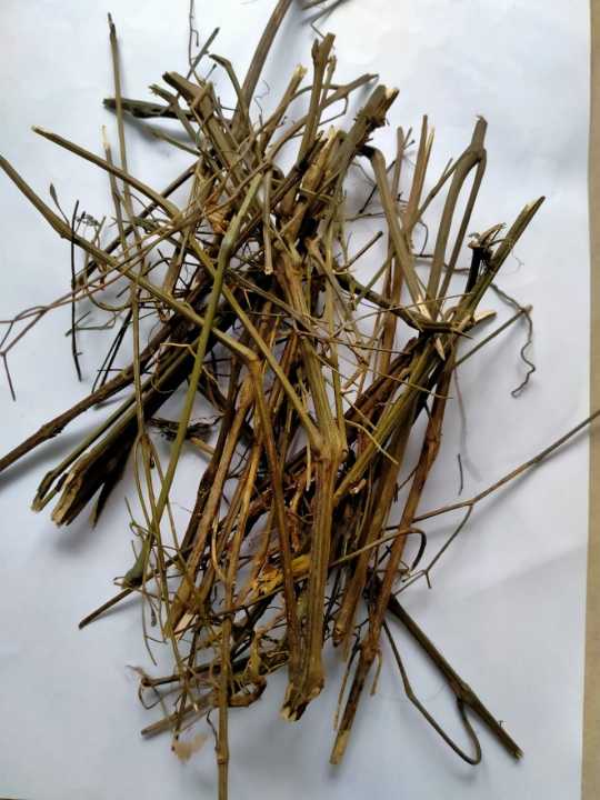 Chirata%20-%20Chirota%20-%20-%2050Gm%20-%20Image%202