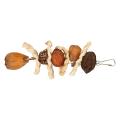 Parrot Chew Toy, Bird Gnawing Toy Natural Corn Leaf and Nut for Home Use. 