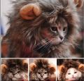 Funnny Lion Mane Wig for Cat Dog Halloween costumes cosplay. 