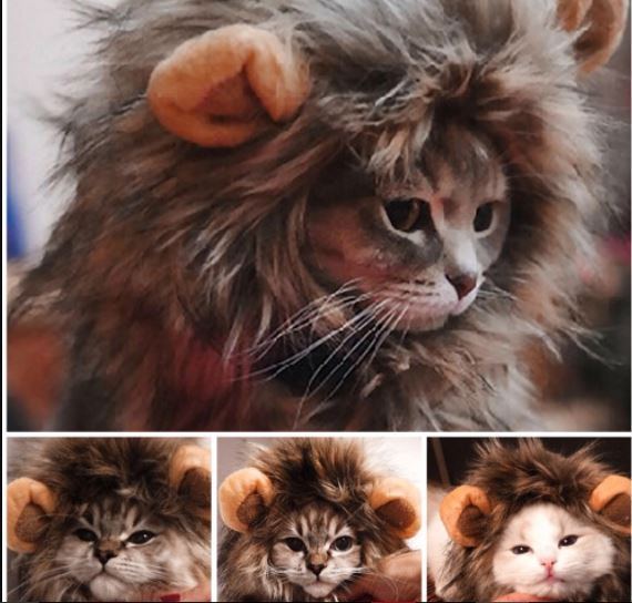 Funnny%20Lion%20Mane%20Wig%20for%20Cat%20Dog%20Halloween%20costumes%20cosplay%20-%20Image%204