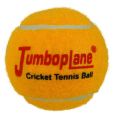 Jumbo plane Tennis Ball.