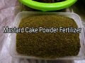 Mustard Oil Cake Powder Fertilizer-সরিষার খৈল গুঁড়া সার-1 Kg. 