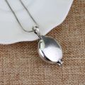 The Vampire Diaries Necklace Elena Gilbert Fashion Vervain Verbena Pendant Photo Locket Jewelry Men Women Christmas Party Gift. 