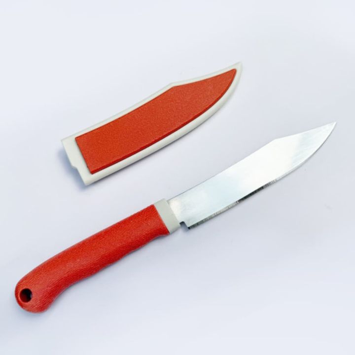 23cm Stainless Steel Fruit Knife with Protective Cover