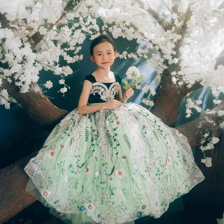 Princess Anna Dress, Disney Princess Dress Kids Princess Dress - Main Image