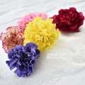 Flower Drying Silica Gel 500gram special desiccant for superb looking drying agent.