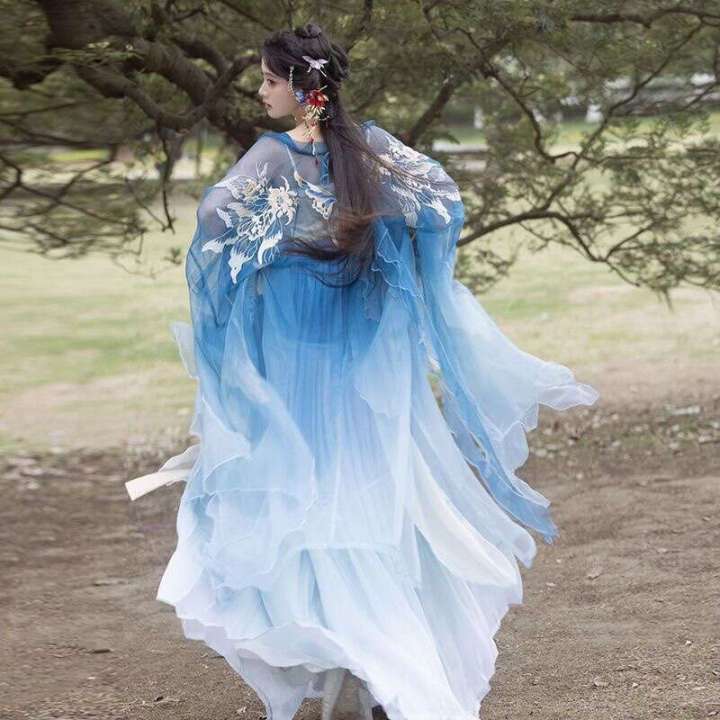 Fairy ancient costume, women's Hanfu, butterfly language, fairy aura, daily  embroidery, chezi skirt, tattered long sleeved shirt, spring and summer  styles | Daraz.com.bd