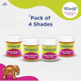 Fevicryl Acrylic Colour 10 ml.