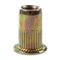 150 Pcs M10/M12/M8/M5/M6// Flat Head Rivet Nut Furniture Decoration Instrument (). 