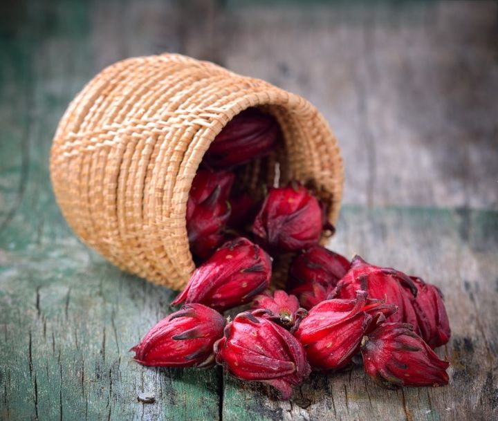 35%20pieces%20of%20seeds%20-%20Chukai%20or%20Chukur%20or%20Mesta%20or%20Sour%20fruit%20(Hilfa%20in%20Sylhet),%20which%20is%20Rosella%20in%20English,%20Rosella%20fruit.%20-%20Image%202