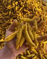 Premium Turmeric Powder | 100% Natural | Pure Holud Powder | No Artificial Color | No Preservatives. 