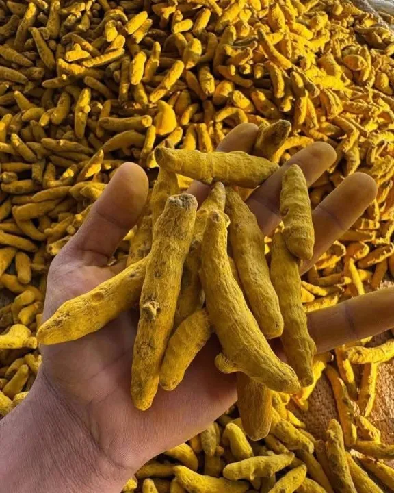 Premium%20Turmeric%20Powder%20%7C%20100%25%20Natural%20%7C%20Pure%20Holud%20Powder%20%7C%20No%20Artificial%20Color%20%7C%20No%20Preservatives%20-%20Image%205