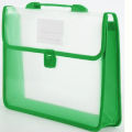 Document Carrier Bag 2 Part with pita.