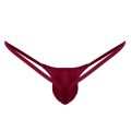 Swimwear Mens Swimsuit Bikini G-string Thong Briefs Underwear Swim Briefs Lingerie Swimming Suit Tanga Thongs Underwear.
