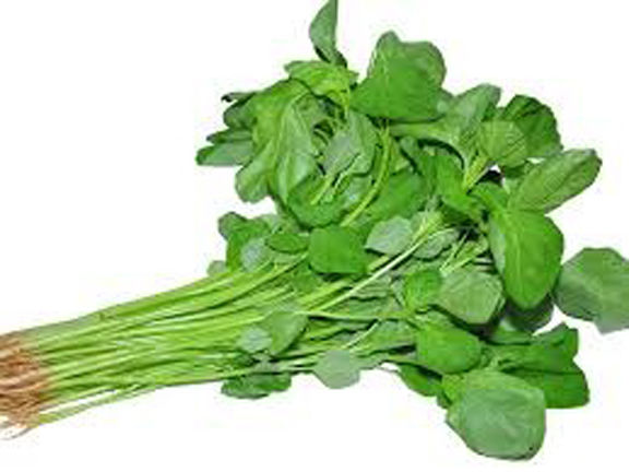 Data Vegetables Seeds (ডাটাশাক বীজ) - 1000 pieces intact packet