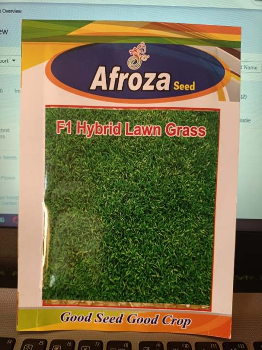 1000%20pcs%20intact%20F-1%20hybrid%20lawn%20grass/carpet%20grass%20seeds%20(intact%20packet)%20-%20Image%202