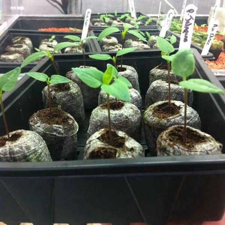 110%20Pcs%20Professional%20Peat%20Pellets%20Plant%20Starting%20Soil%20Block%20Seedling%20-%20Image%204