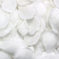 Rose decoration-4000 x rose petals-white.