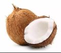 Coconut ( নারিকেল ) - 1 Pcs. 