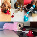 Pet Dog Toys Interactive Rubber Suction Cup Push Tpr Balls For Small Large Dogs Puppy Cat Chewing Toys Kong Dog Toys.