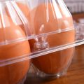 50Pcs Plastic Egg Cartons Bulk Clear Chicken Egg Tray Holder for Family Pasture Chicken Farm Business Market- 4 Grids. 