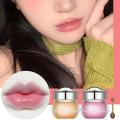 Honey Lip Balm Long Lasting Moisturizing Natural Cosmetics Scrub Care Lighten Lip Gloss Lines Lip Lip Exfoliating G5F7.