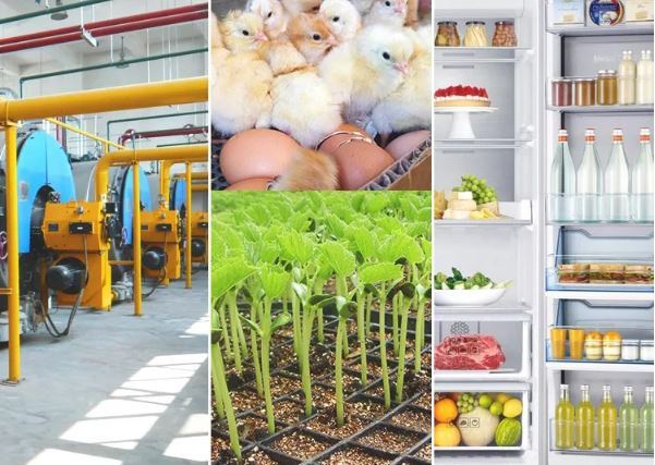 XH%20-%20W3001%20Digital%20LED%20Temperature%20Controller%20220V%20AC%2010A%20Thermostat%20Control%20Probe,%20Incubator%20Temperature%20Controller,%20Temperature%20Controller%20-%20Image%207