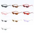 DYTYMJ New Cat Eye Small Frame Sunglasses Women Trendy Sunscreen Sunglasses Men Jelly Color Vintege Punk Gafas De Sol Mujer. 