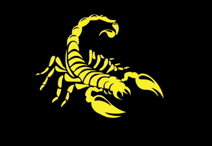 Scorpion%20sticker%20for%20bike%20-%20Image%205