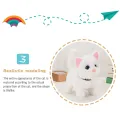 Electric Plush Cat Cognitive Ability Interactive Ability Fine Workmanship Barking Walking Electric Cat Plush Toys for Kids. 
