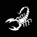 【Mary DAI Store】13*11.46cm Funny Scorpion Car and Decals Car Styling Products Window Door Vinyl Sticker for Car Accessories. 