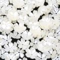 Acrylic Flowers 15MM Imitation Pearl Material Loose Beads For DIY Bracelets Necklaces Children's Toy Jewelry Making Supplies. 