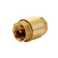 1pc Dn15/dn20/dn25 Brass Female Thread In-Line Spring Check Valve One Way Non-Return For Water Control. 