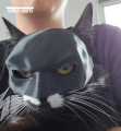 Batman Cat Mask Toy – Cute Superhero Costume for Pet Cats | Adjustable & Comfortable Cat Mask for Cosplay, Halloween, Parties, and Fun Photoshoots | Stylish Cat Accessories for Small & Large Cats | Pet Dress-Up Outfit for Indoor & Outdoor Use. 