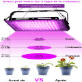 【Fashion】Led Full Spectrum Grow Light 220v 50w 100w Plant Growing Plant Hydroponics. 